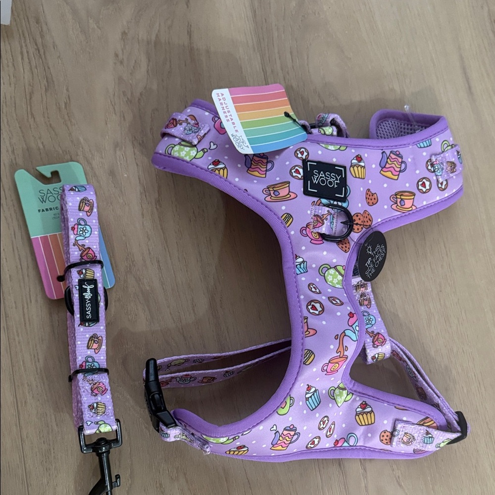 Purple dog Harness and Leash Set